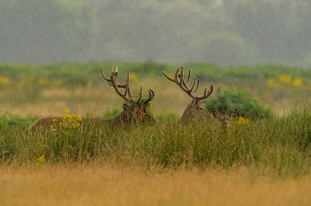 Photograph by Bartek Olszewski
