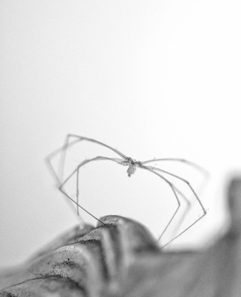 Photograph by Upayan Chatterjee