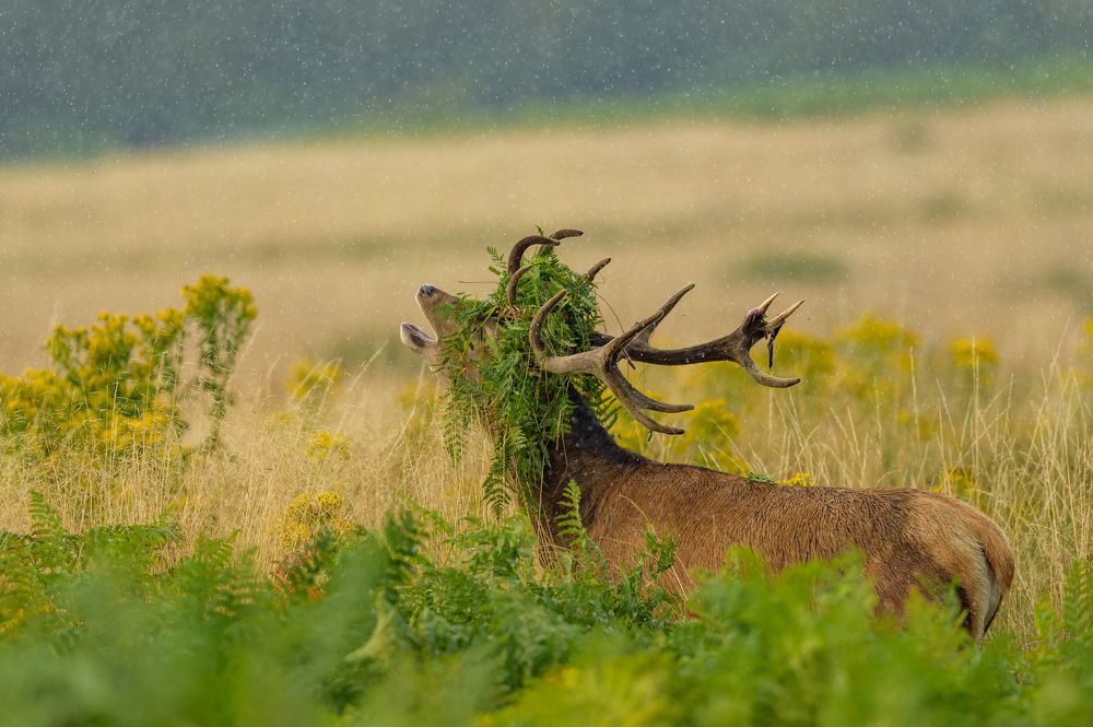 Photograph by Bartek Olszewski