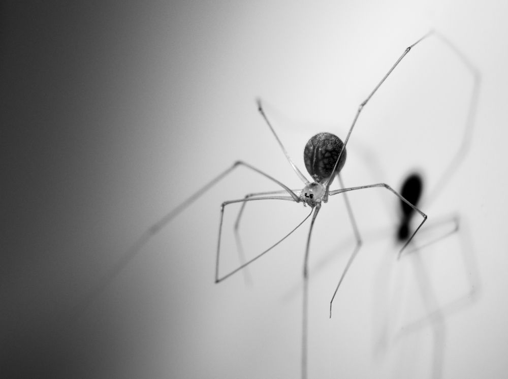 Photograph by Upayan Chatterjee