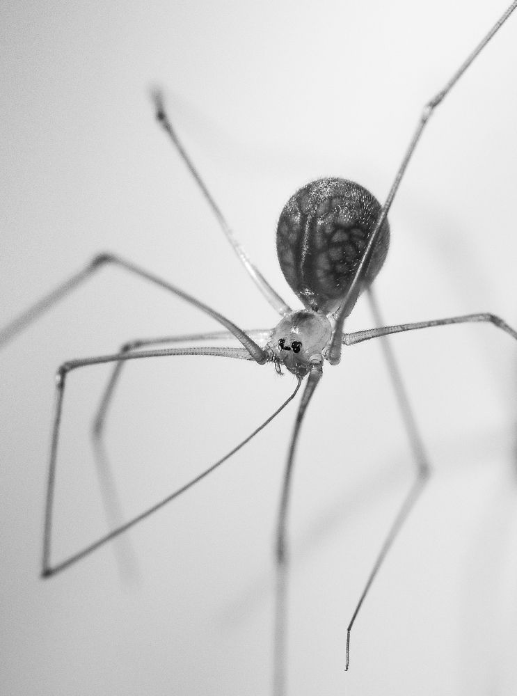 Photograph by Upayan Chatterjee