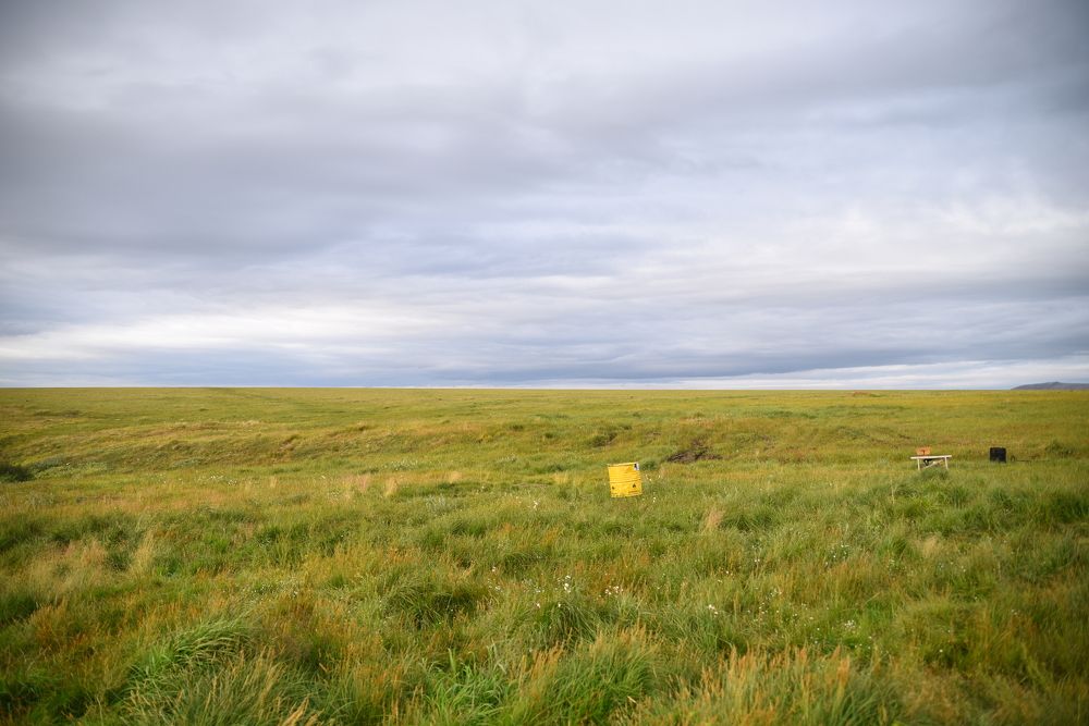 Photograph by Марина Калинина