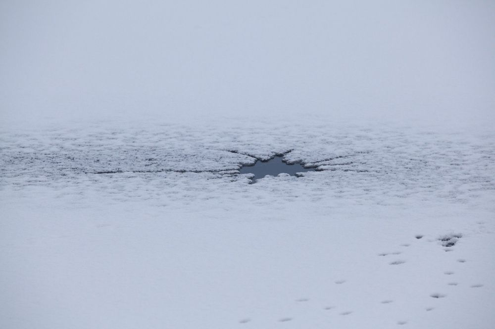 Фотография автора Ольга Малкова