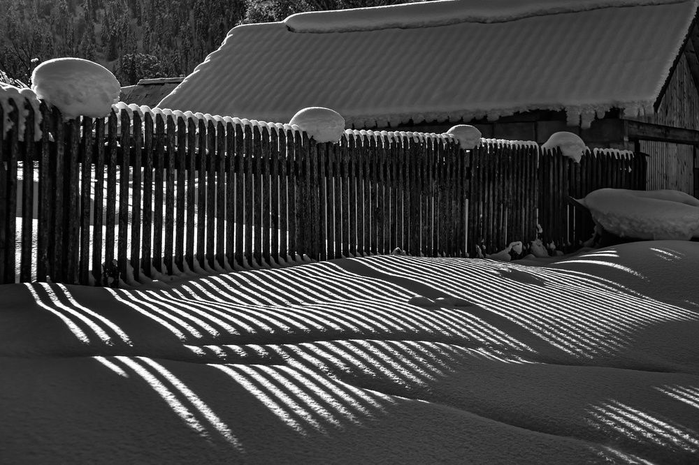 Фотография автора Юлия Есина