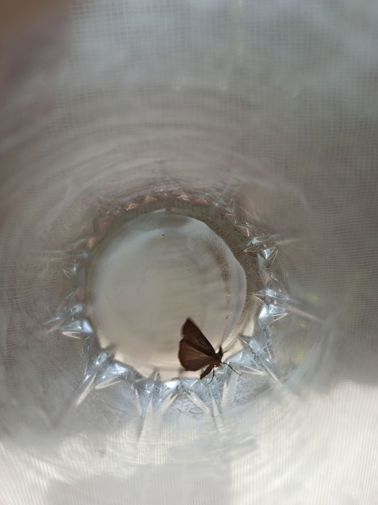 Photograph by Аида Тастенова