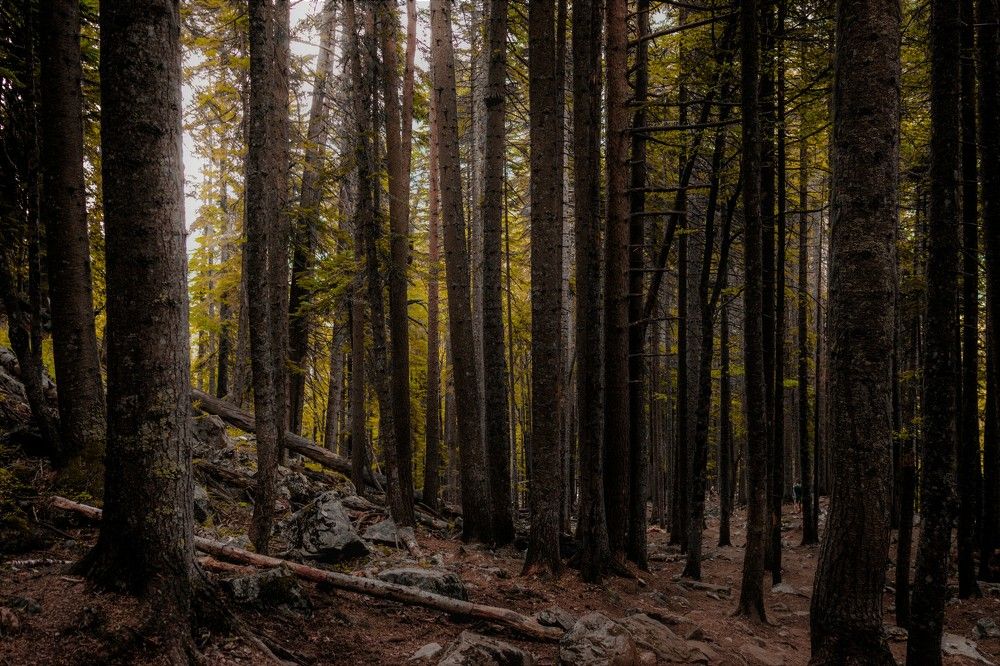 Photograph by Артем Васильев