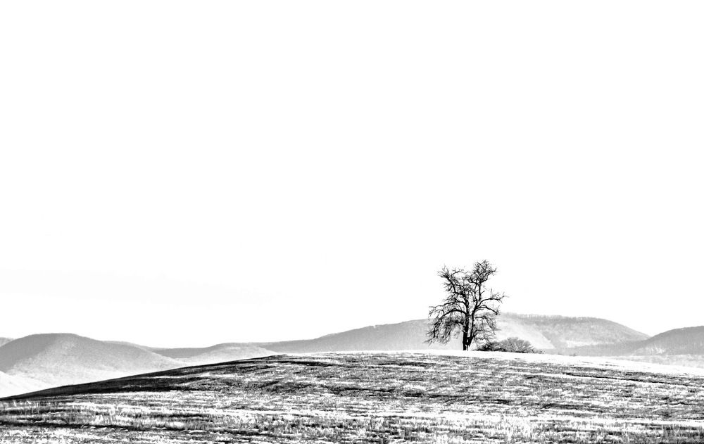 Photograph by Арцах Бабаян