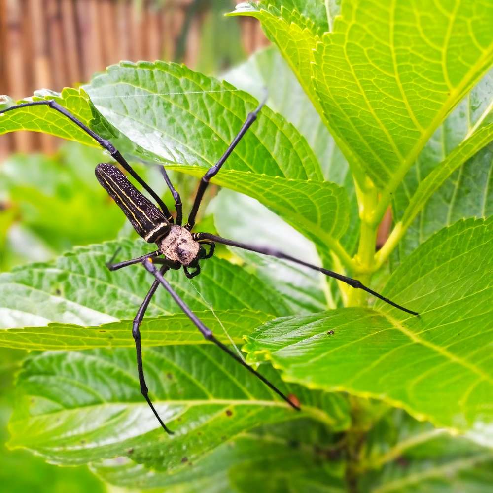 Photograph by Heri susanto