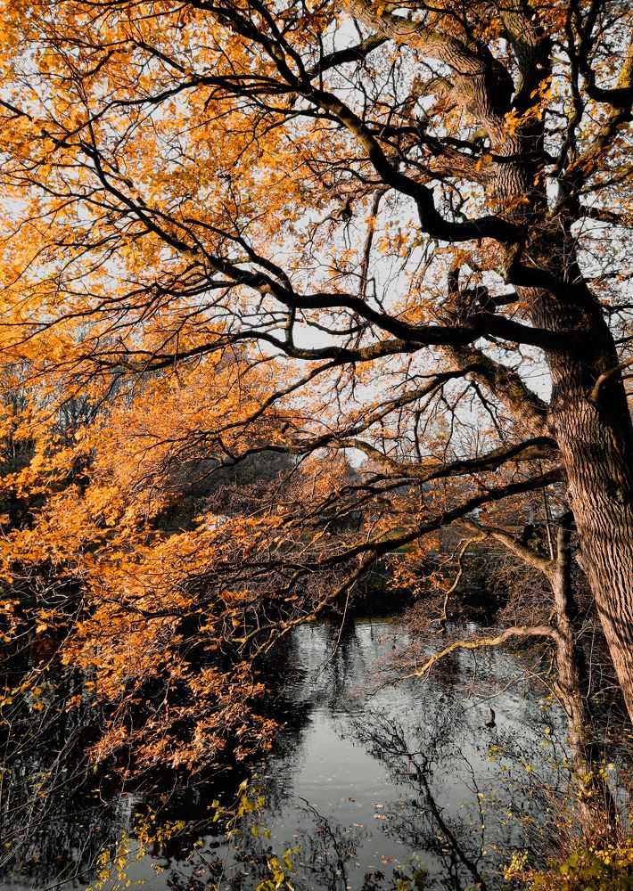 Photograph by Анна Купенко