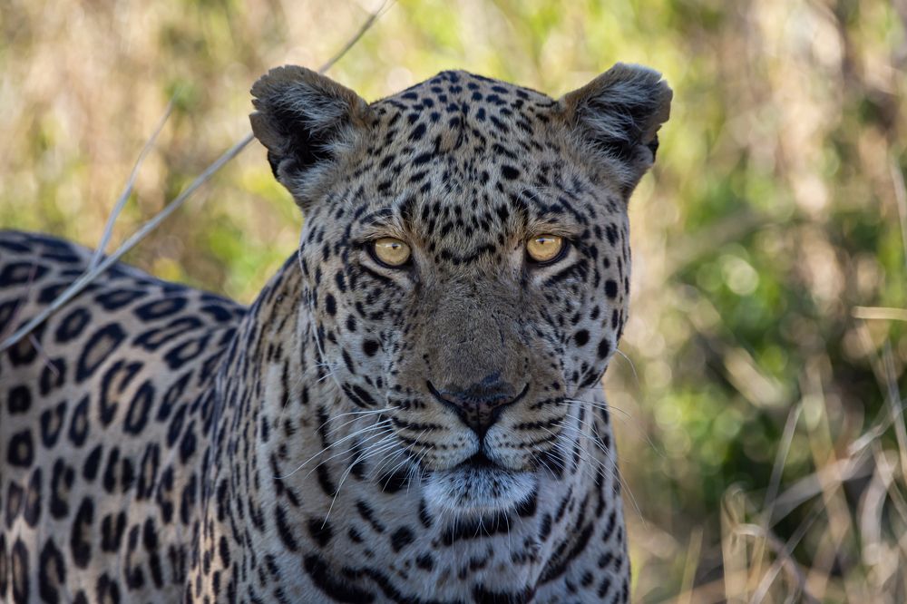 Photograph by Jeff Torroja