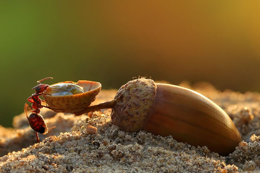 Когда очень хочется пить...