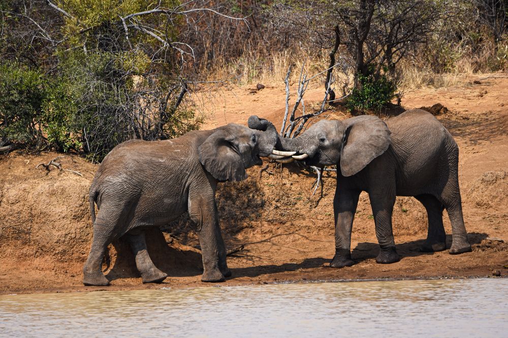 Photograph by Jeff Torroja