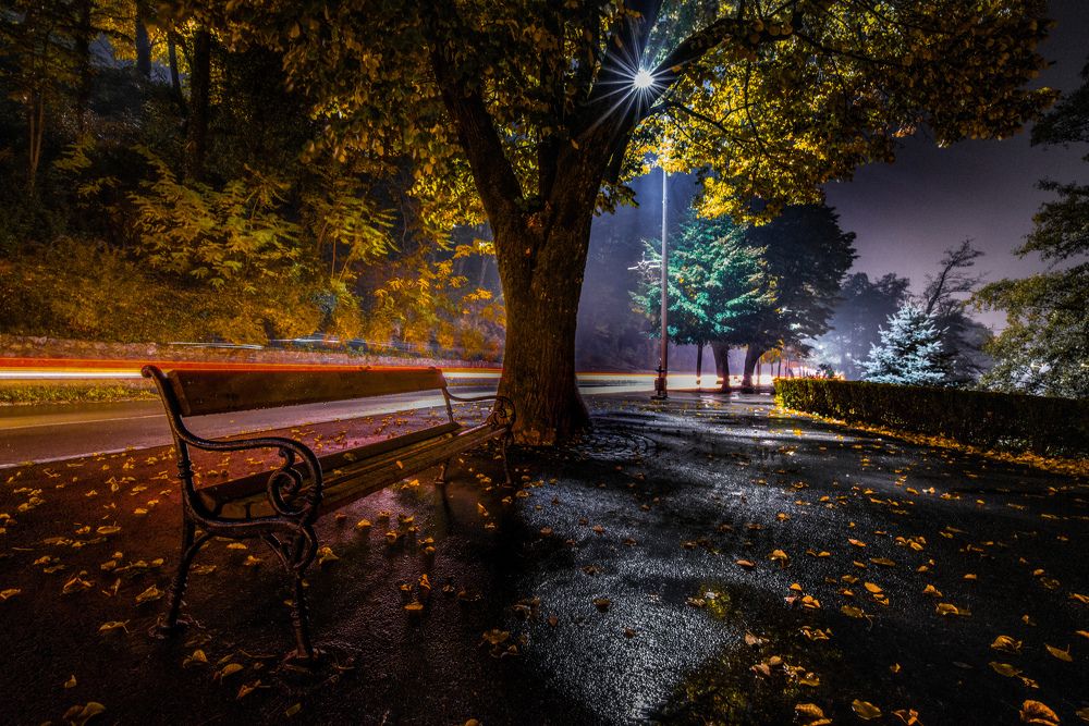 Photograph by Sadzid Karic