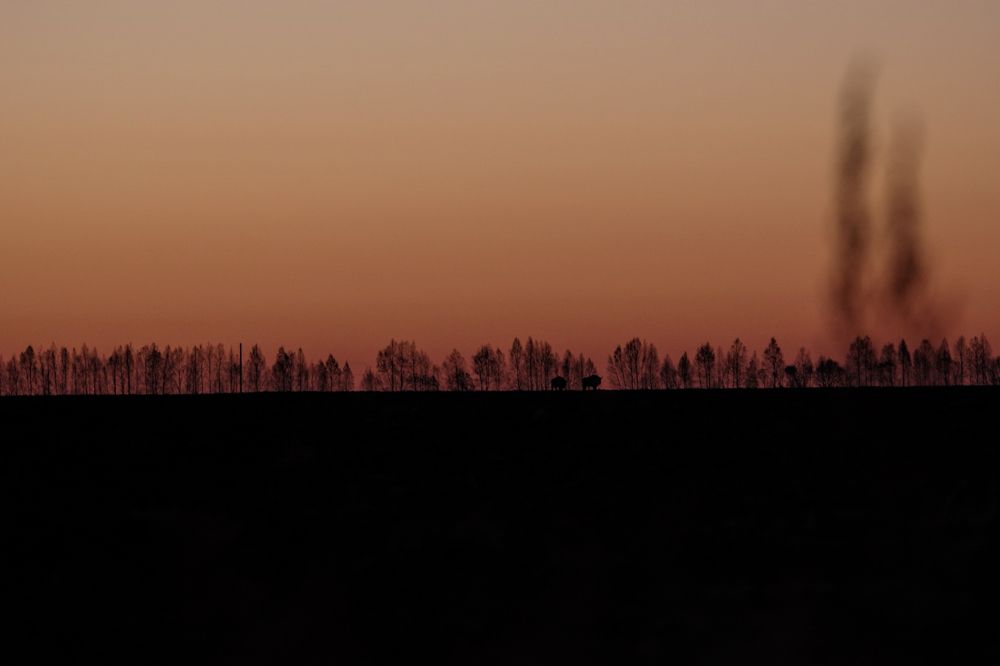 Photograph by Наталья Кащеева