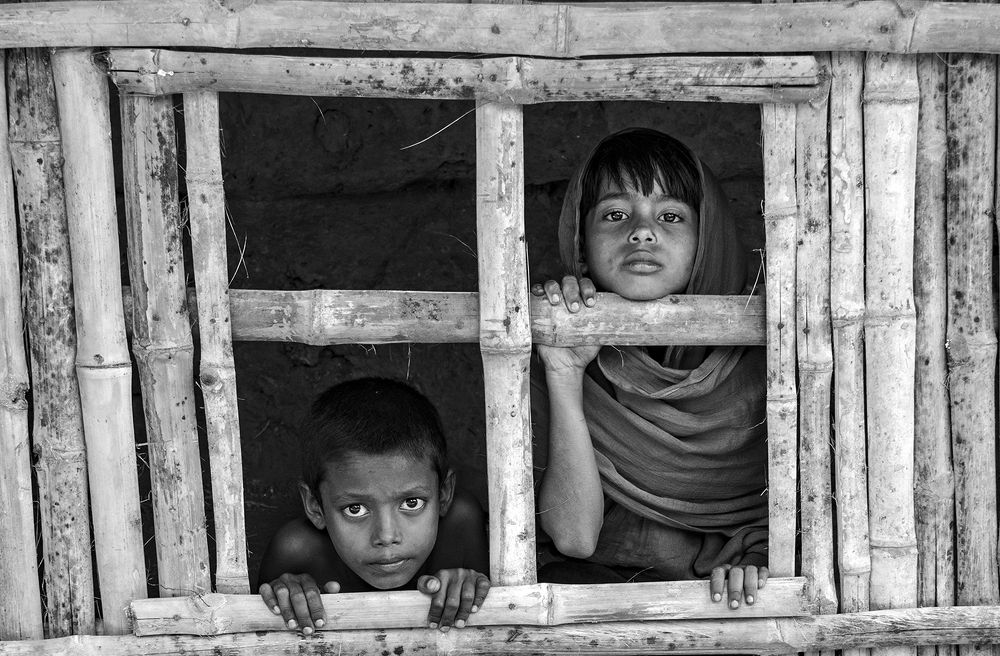 CAPTIVE LIFE IN COVID