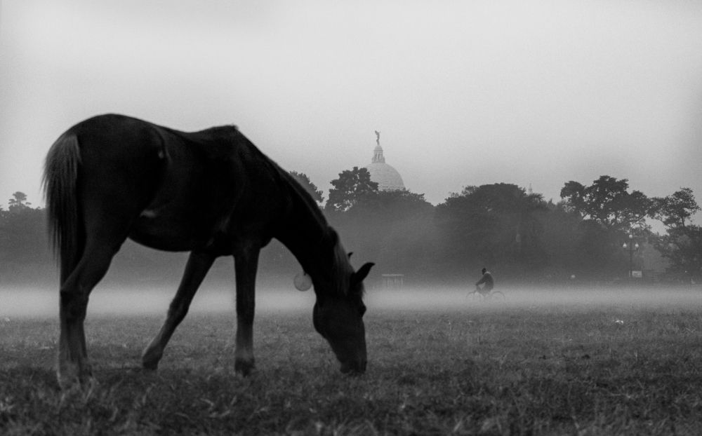 Photograph by Mrityunjoy Mondal