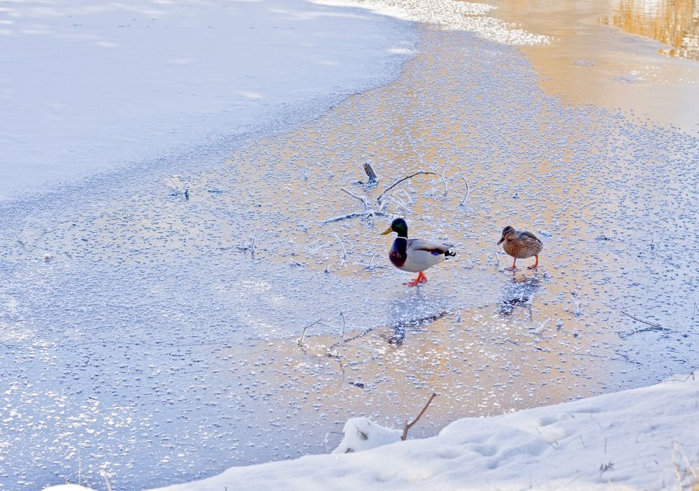 Photograph by Maria Danilkina