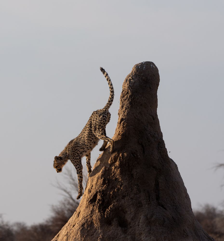 Photograph by Jeff Torroja