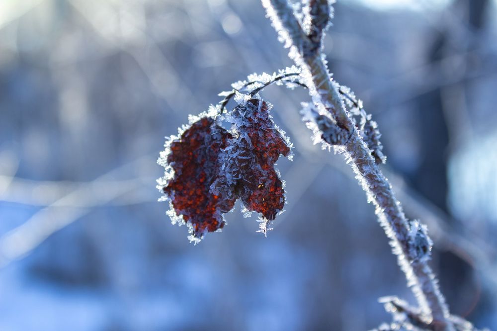 Photograph by Иван Озорнин