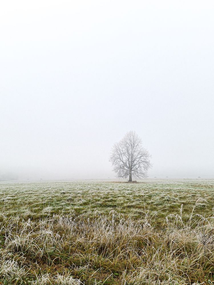 Photo #7247127