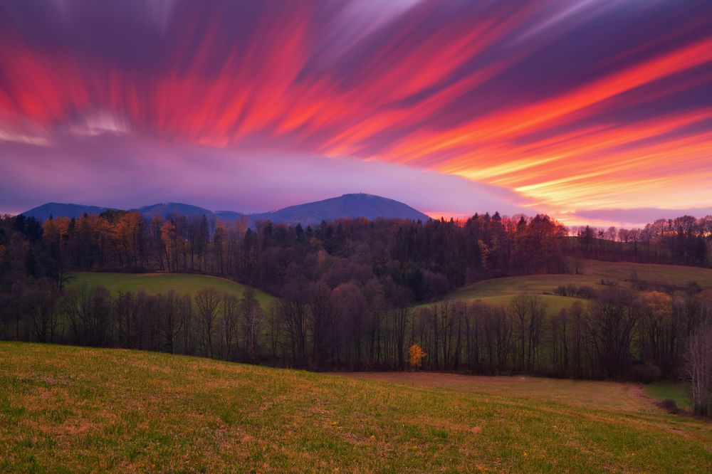 Photograph by Petr Šigut