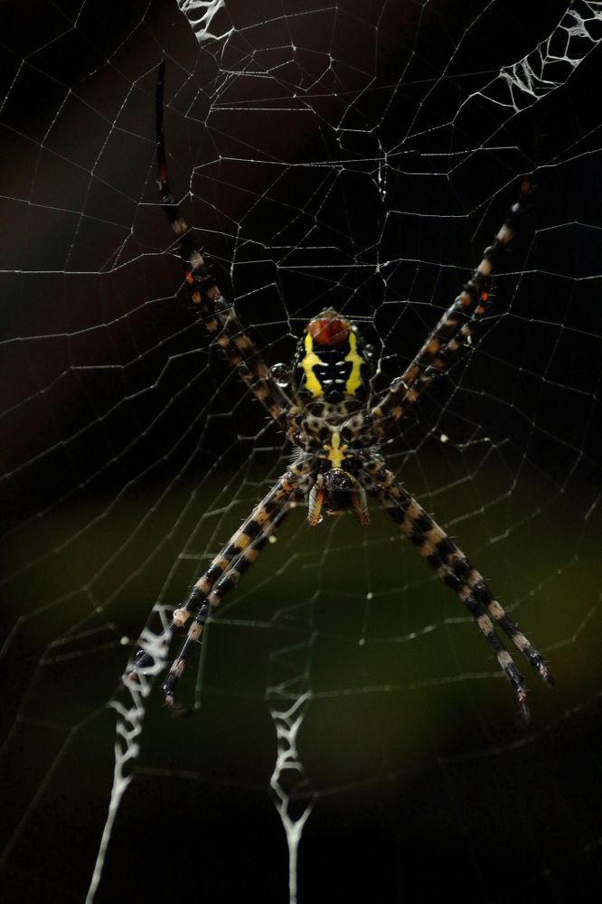 Photograph by Prasad Kn