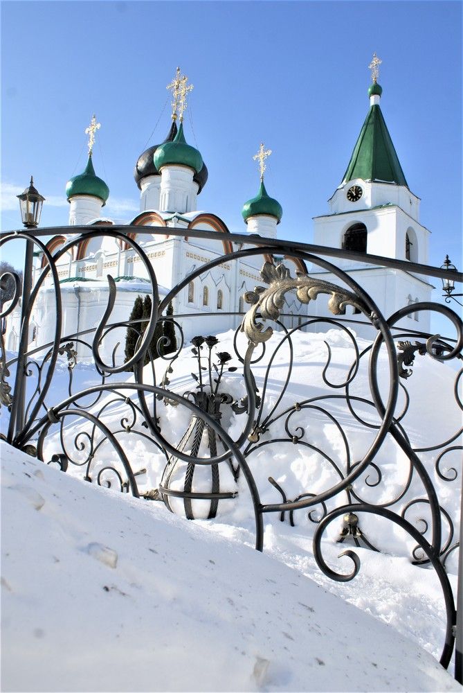 Photograph by тамара Tamara Chubuck