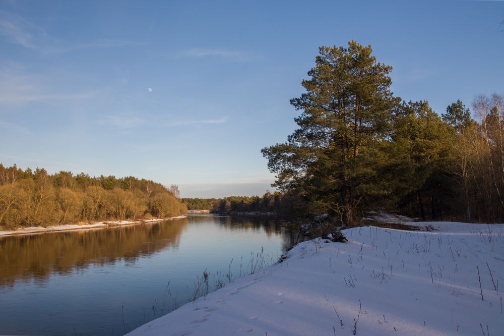 Фотография автора Даниил Бабей