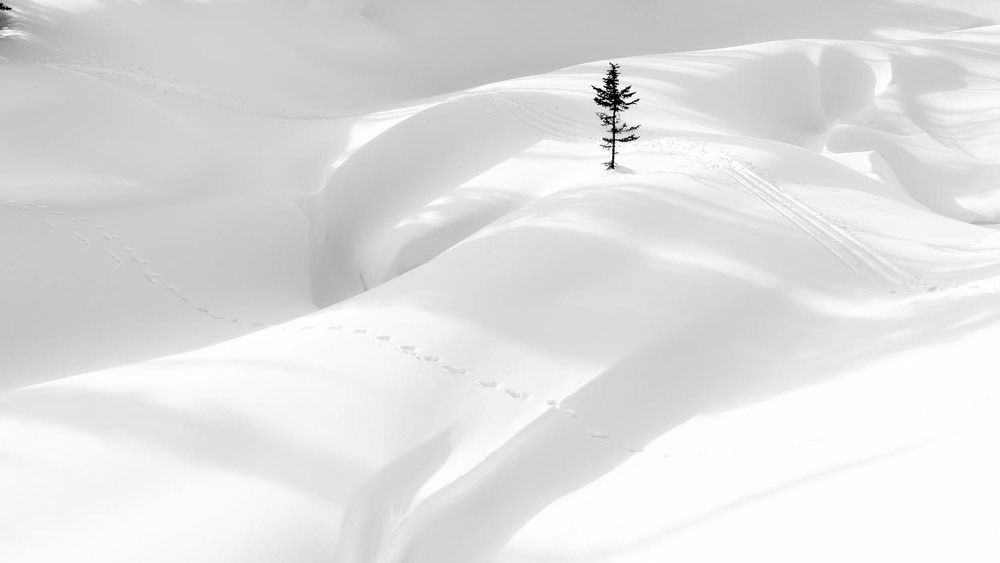 Photograph by Татьяна Добровольская