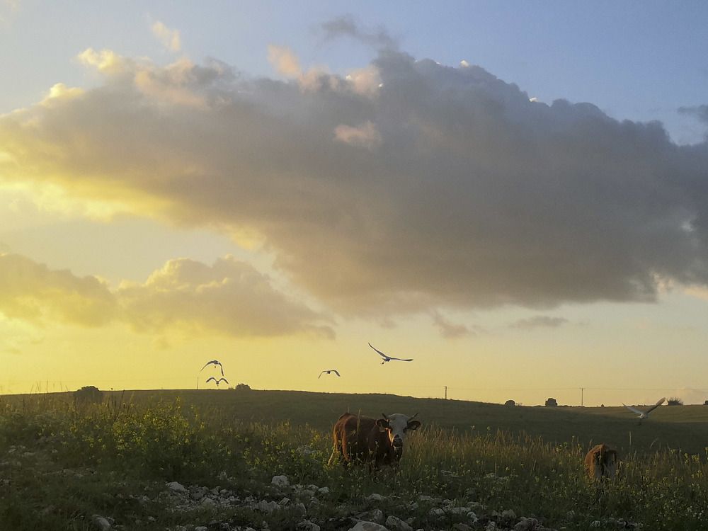 Photograph by Maxim Pshater