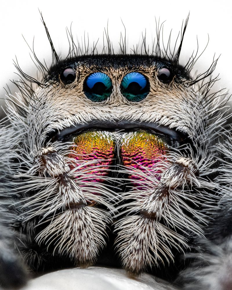 Photograph by Benjamin Salb