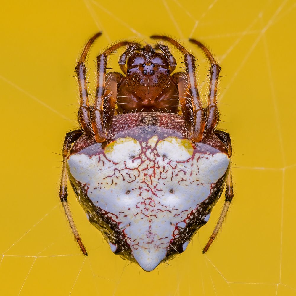 Photograph by Benjamin Salb