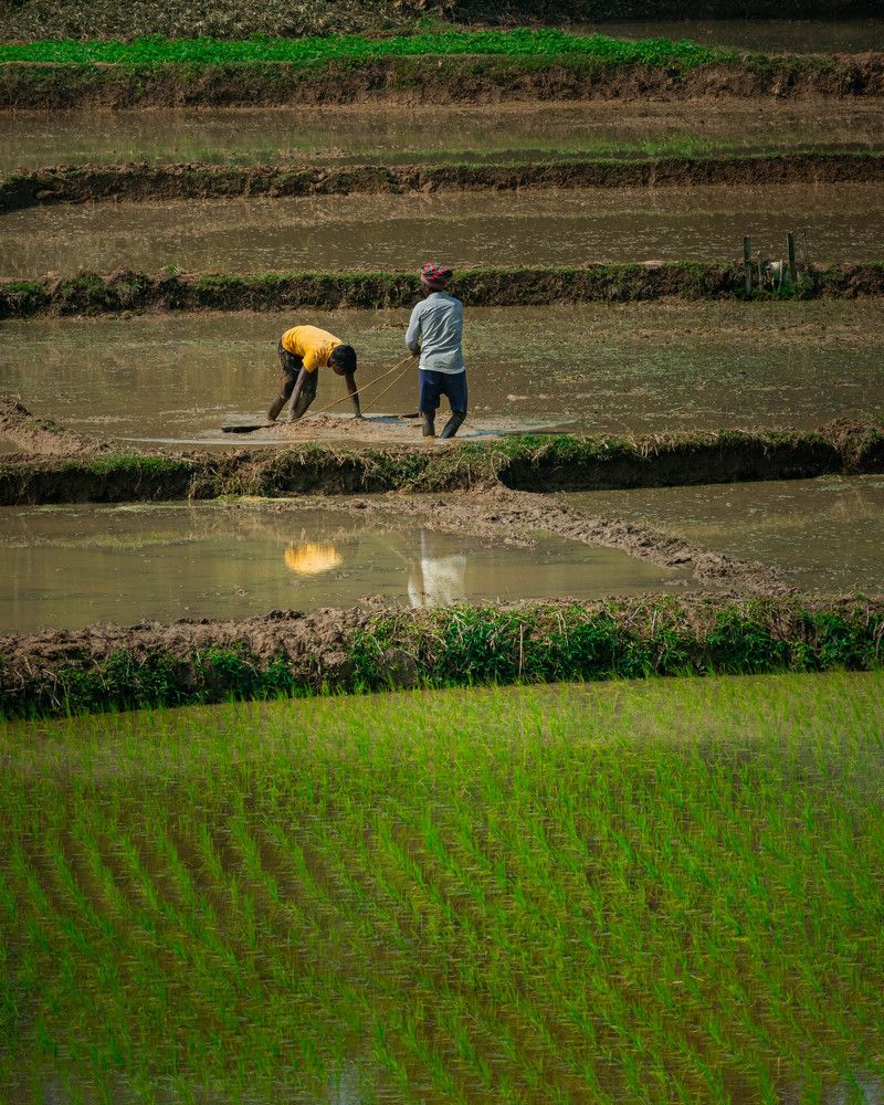 Photograph by Anirban Pan
