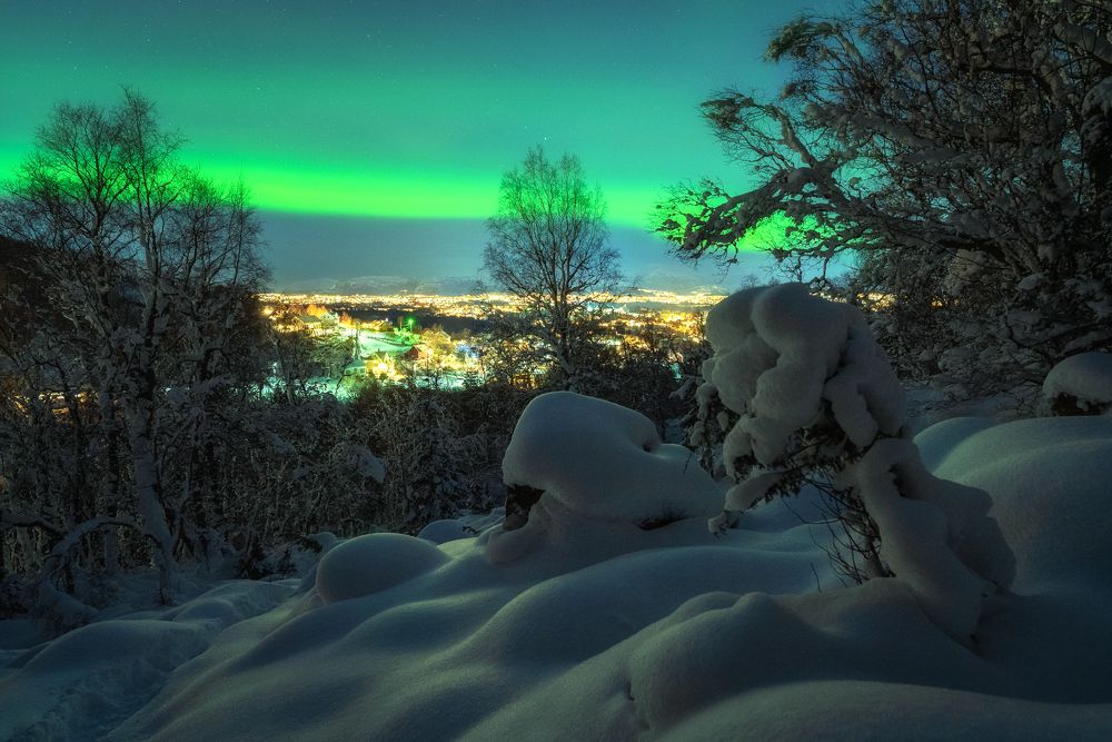 A walk to catch the lights