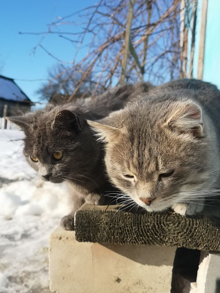 Photograph by Екатерина