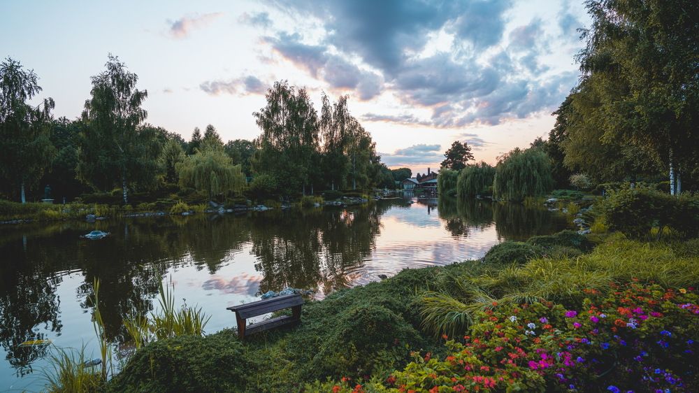 Photograph by Hamzah Alwehaimed