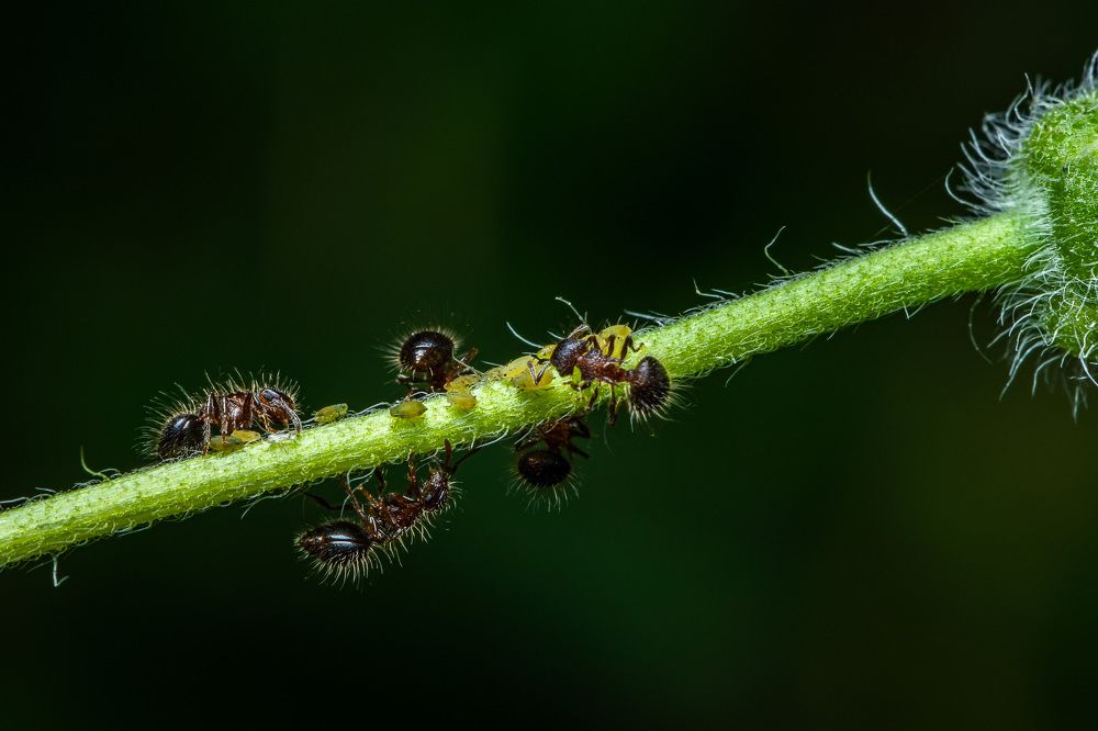 Photograph by Chua Bing Guan