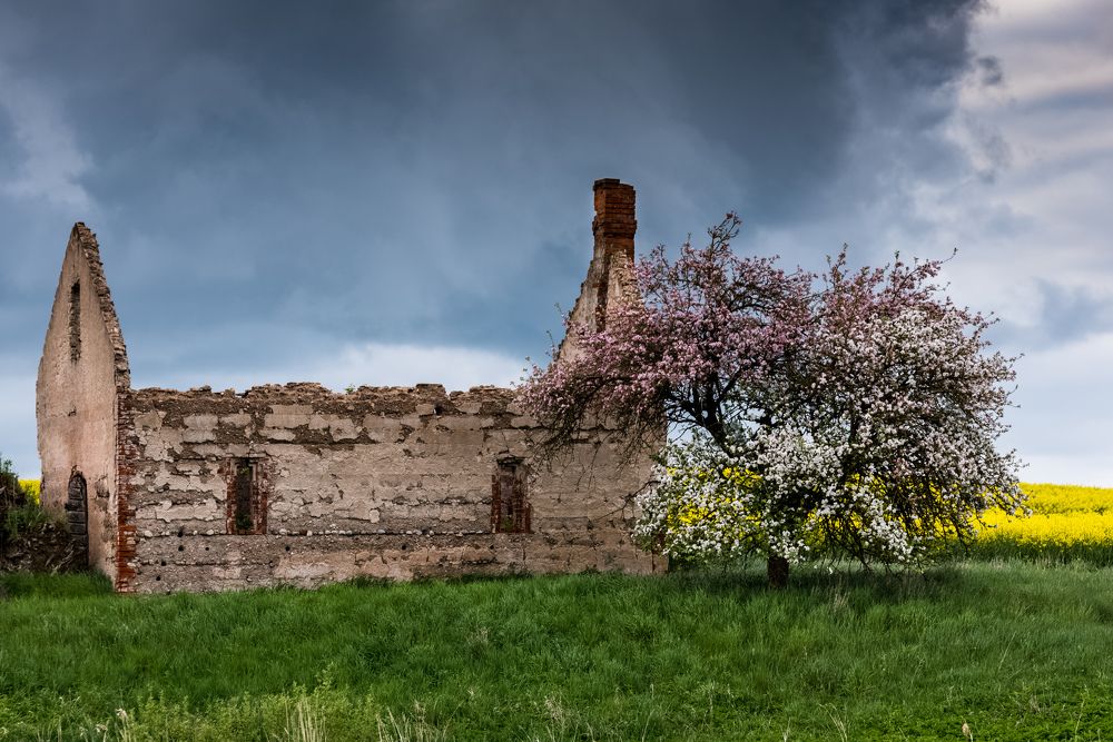 Photograph by Larisa Cekanaviсa