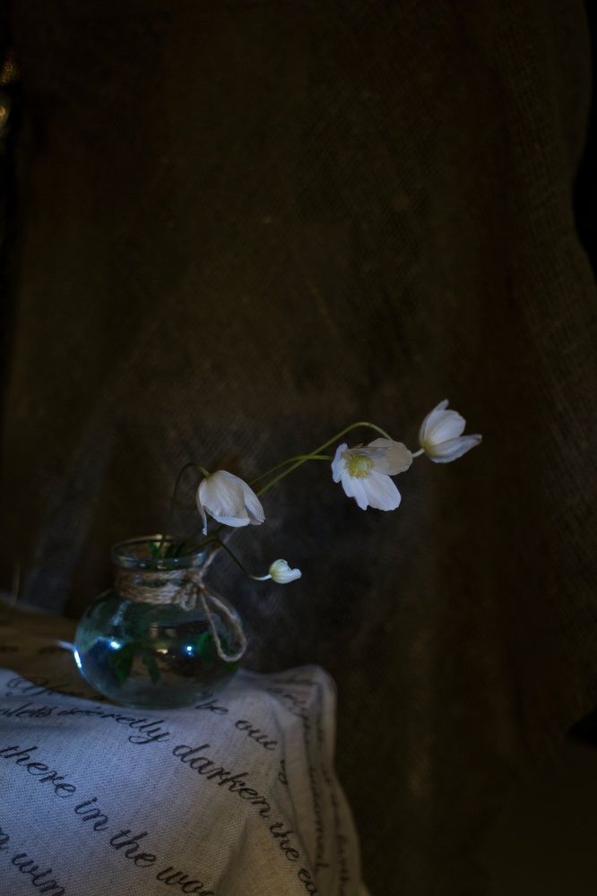 Photograph by Елена Измакова