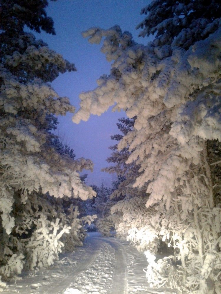 Photograph by Галина Походенко