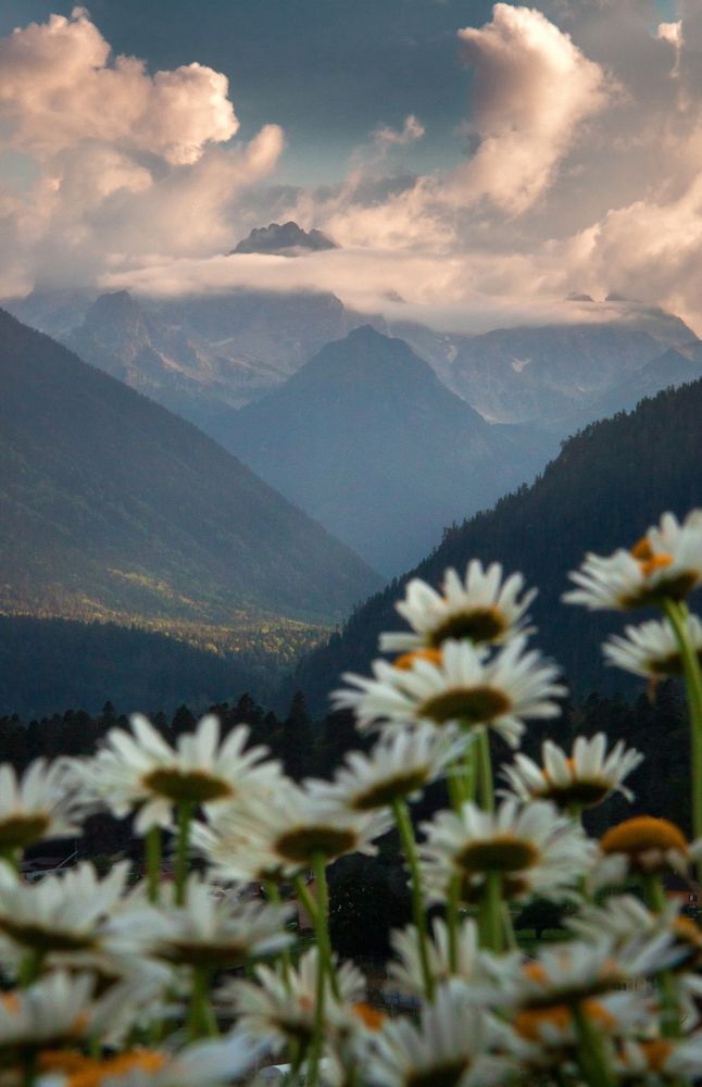 Photograph by Евгения Ботова