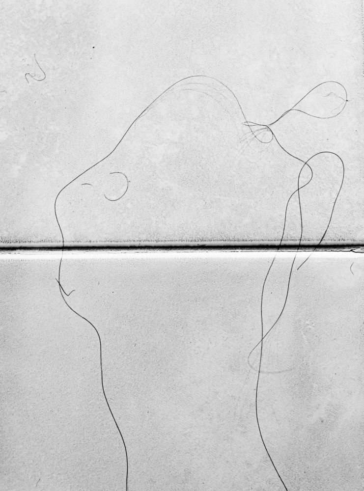 Фотография автора Олесь Парицкий