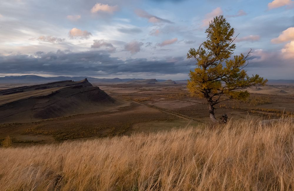 Photograph by Марина Фомина