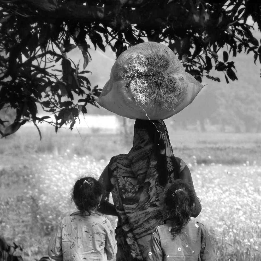 Photograph by Chandan kumar das