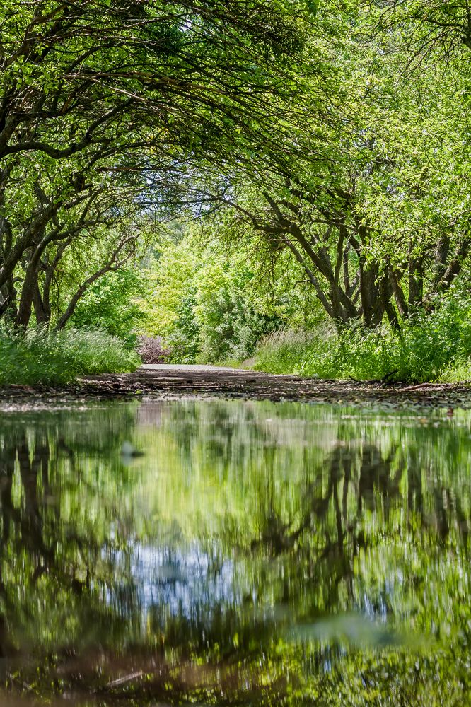 Photograph by Maria Danilkina