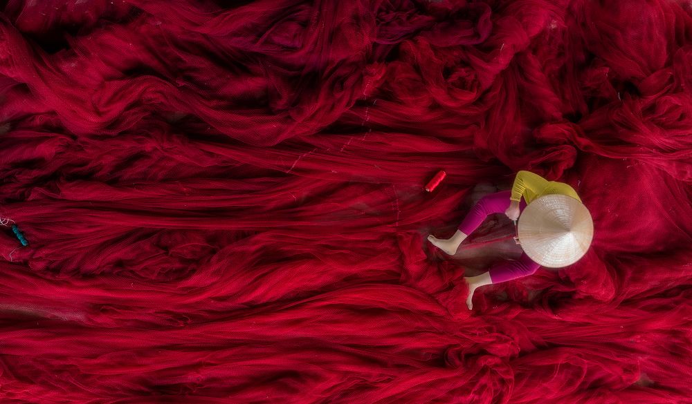 Photograph by Tuấn Nguyễn Tấn