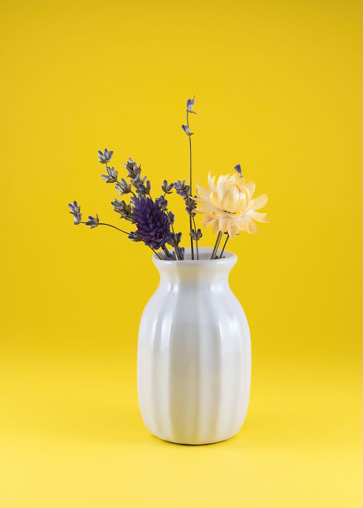 Photograph by Mihai Popa