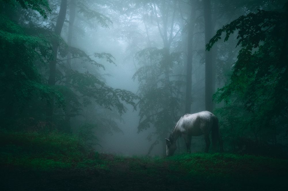 Фотография автора Ivan Miladinov