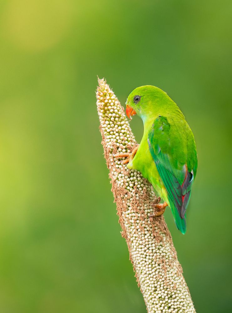 Photograph by Anindita Datta Muhuri