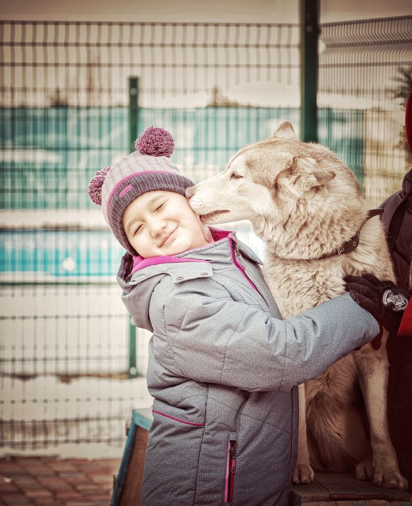 В кинологическом центре